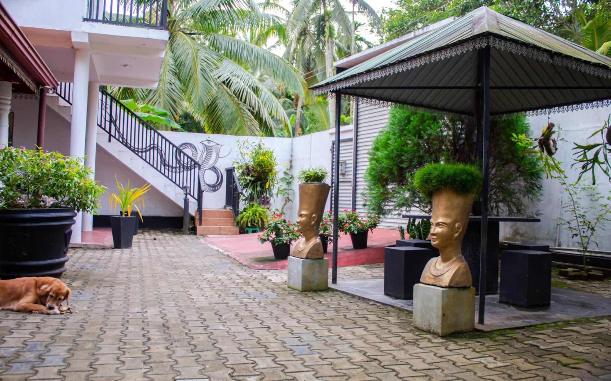 Dream Forest Rest Ahangama Exterior foto